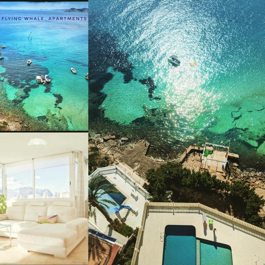 Apartament Portofino Flying Whale Benidorm Zewnętrze zdjęcie
