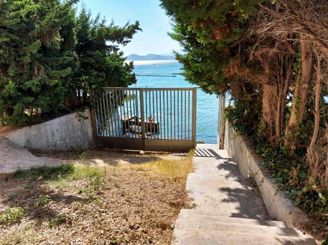 Apartament Portofino Flying Whale Benidorm Zewnętrze zdjęcie